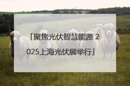 聚焦光伏智慧能源 2025上海光伏展举行