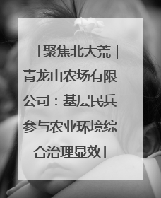 聚焦北大荒｜青龙山农场有限公司：基层民兵参与农业环境综合治理显效
