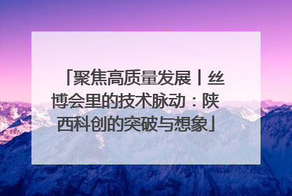 聚焦高质量发展丨丝博会里的技术脉动：陕西科创的突破与想象