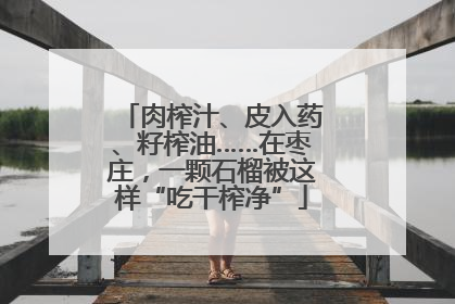 肉榨汁、皮入药、籽榨油……在枣庄，一颗石榴被这样“吃干榨净”