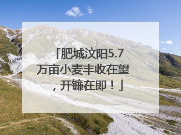肥城汶阳5.7万亩小麦丰收在望，开镰在即！