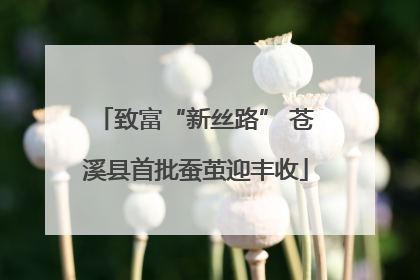 致富“新丝路” 苍溪县首批蚕茧迎丰收