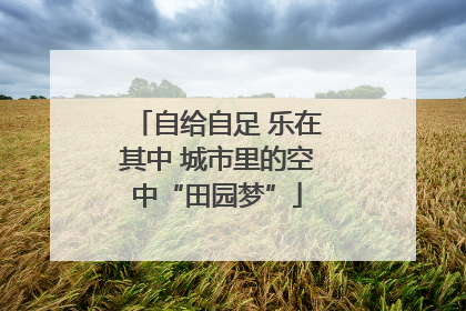 自给自足 乐在其中 城市里的空中“田园梦”