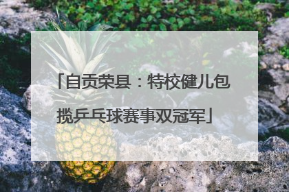 自贡荣县：特校健儿包揽乒乓球赛事双冠军