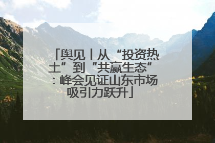 舆见丨从“投资热土”到“共赢生态”：峰会见证山东市场吸引力跃升