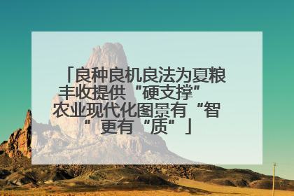 良种良机良法为夏粮丰收提供“硬支撑” 农业现代化图景有“智”更有“质”