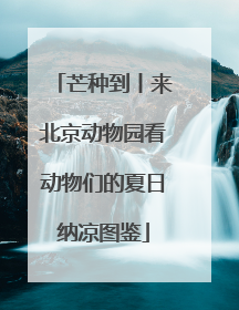 芒种到丨来北京动物园看动物们的夏日纳凉图鉴