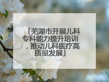 芜湖市开展儿科专科能力提升培训，推动儿科医疗高质量发展