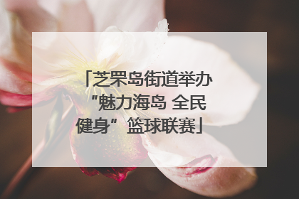 芝罘岛街道举办“魅力海岛 全民健身”篮球联赛