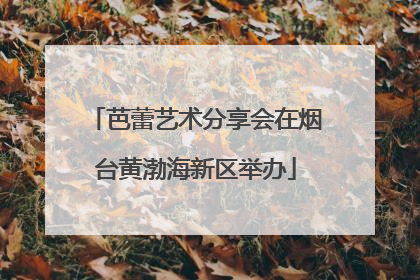 芭蕾艺术分享会在烟台黄渤海新区举办