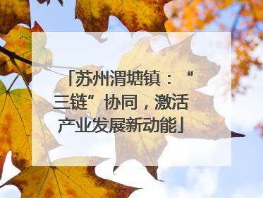 苏州渭塘镇：“三链”协同，激活产业发展新动能