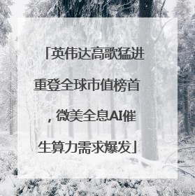 英伟达高歌猛进重登全球市值榜首，微美全息AI催生算力需求爆发