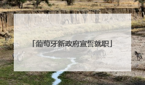 葡萄牙新政府宣誓就职