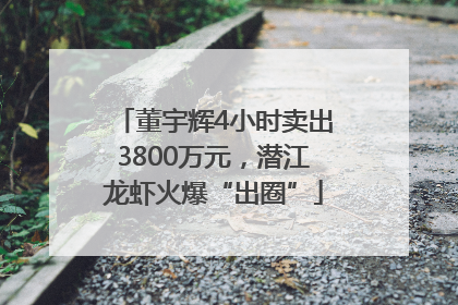 董宇辉4小时卖出3800万元，潜江龙虾火爆“出圈”