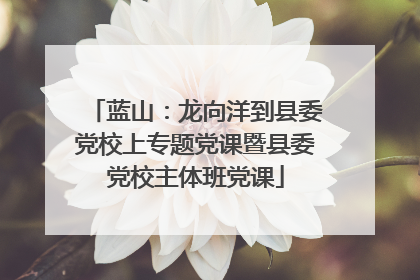 蓝山：龙向洋到县委党校上专题党课暨县委党校主体班党课