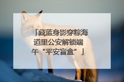 藏蓝身影穿粽海 道里公安解锁端午“平安盲盒”