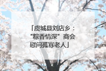 虞城县刘店乡：“粽香情深”商会慰问孤寡老人
