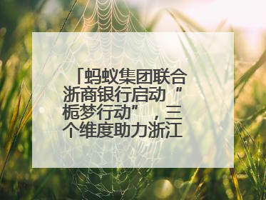 蚂蚁集团联合浙商银行启动“栀梦行动”，三个维度助力浙江下姜村建设共富示范区示范点