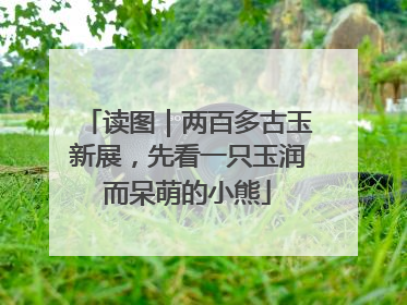 读图｜两百多古玉新展，先看一只玉润而呆萌的小熊