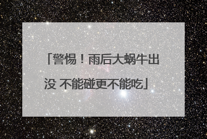 警惕！雨后大蜗牛出没 不能碰更不能吃