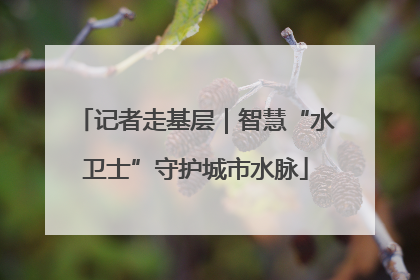记者走基层｜智慧“水卫士”守护城市水脉