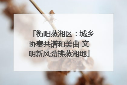 衡阳蒸湘区：城乡协奏共谱和美曲 文明新风劲拂蒸湘地