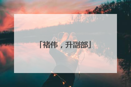 褚伟，升副部