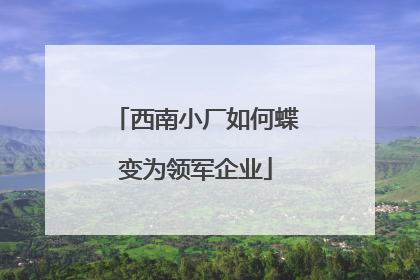 西南小厂如何蝶变为领军企业