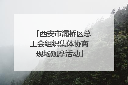 西安市灞桥区总工会组织集体协商现场观摩活动