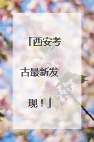 西安考古最新发现！