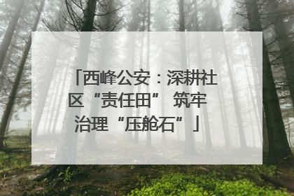 西峰公安：深耕社区“责任田” 筑牢治理“压舱石”