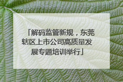 解码监管新规，东莞辖区上市公司高质量发展专题培训举行