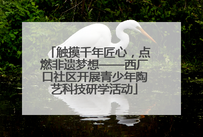 触摸千年匠心，点燃非遗梦想——西厂口社区开展青少年陶艺科技研学活动