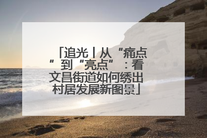 追光丨从“痛点”到“亮点”：看文昌街道如何绣出村居发展新图景