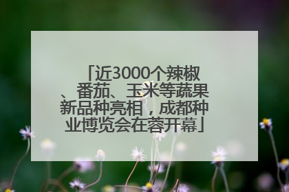 近3000个辣椒、番茄、玉米等蔬果新品种亮相，成都种业博览会在蓉开幕