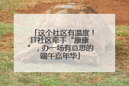 这个社区有温度！IT社区牵手“康康”，办一场有意思的端午嘉年华