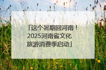 这个暑期回河南！2025河南省文化旅游消费季启动