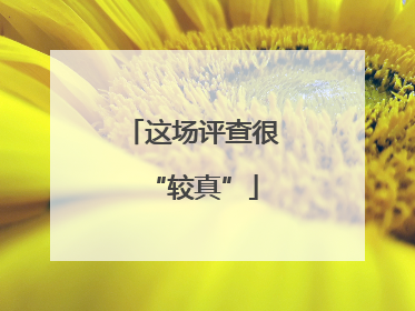 这场评查很“较真”
