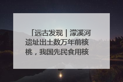 远古发现｜濛溪河遗址出土数万年前核桃，我国先民食用核桃历史大幅提前
