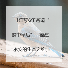 连续6年邂逅“蝶中皇后”：福建永安的生态之约