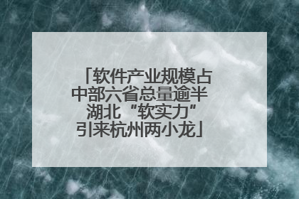 软件产业规模占中部六省总量逾半 湖北“软实力”引来杭州两小龙