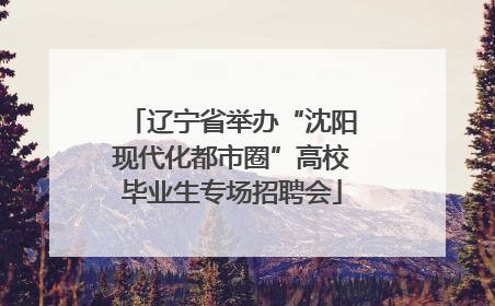 辽宁省举办“沈阳现代化都市圈”高校毕业生专场招聘会