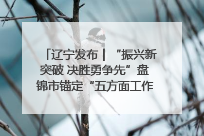 辽宁发布｜“振兴新突破 决胜勇争先”盘锦市锚定“五方面工作”力争全年地区生产总值增长5.5%左右