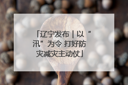 辽宁发布｜以“汛”为令 打好防灾减灾主动仗