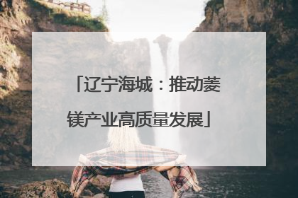 辽宁海城：推动菱镁产业高质量发展