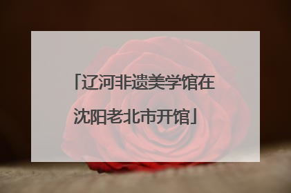 辽河非遗美学馆在沈阳老北市开馆