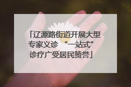 辽源路街道开展大型专家义诊 “一站式”诊疗广受居民赞誉