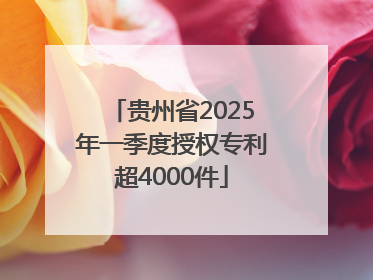 贵州省2025年一季度授权专利超4000件