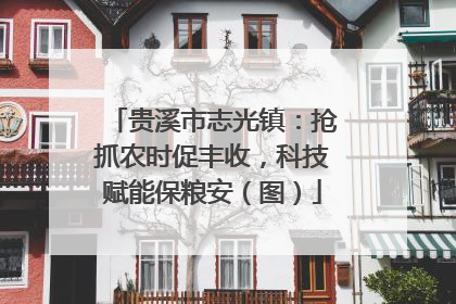 贵溪市志光镇：抢抓农时促丰收，科技赋能保粮安（图）
