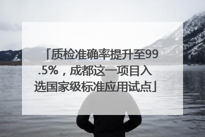 质检准确率提升至99.5%，成都这一项目入选国家级标准应用试点